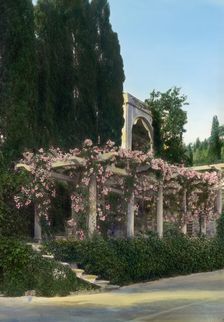 Villa Bel Riposo, San Domenico, Tuscany, Italy, 1925. Creator: Frances Benjamin Johnston