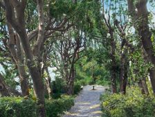 Villa Gamberaia, Settignano, Tuscany, Italy, 1925. Creator: Frances Benjamin Johnston