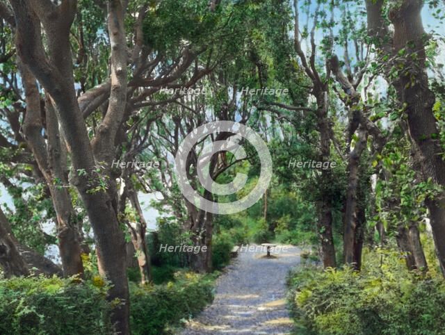 Villa Gamberaia, Settignano, Tuscany, Italy, 1925. Creator: Frances Benjamin Johnston.