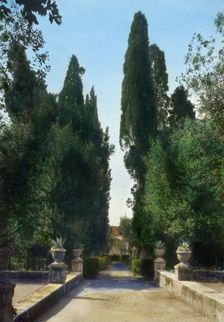 Villa d'Este, Tivoli, Lazio, Italy, 1925. Creator: Frances Benjamin Johnston