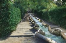 Villa Lante, Bagnaia, Lazio, Italy, 1925. Creator: Frances Benjamin Johnston