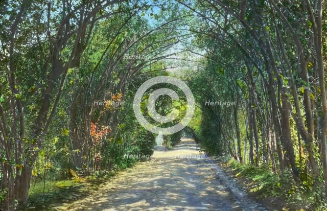 "Villa Sciarra," George Wurts house, via Calandrelli, Rome, Italy, 1925. Creator: Frances Benjamin Johnston.