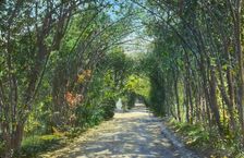 "Villa Sciarra," George Wurts house, via Calandrelli, Rome, Italy, 1925. Creator: Frances Benjamin Johnston