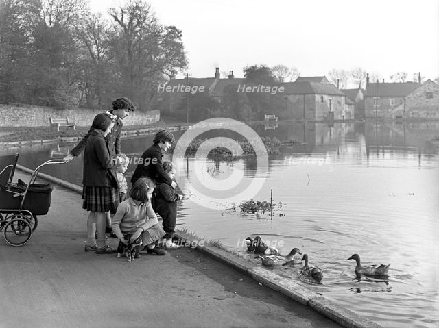 Village duck pond scene, Tickhill, Doncaster, South Yorkshire, 1961. Creator: Michael Walters.