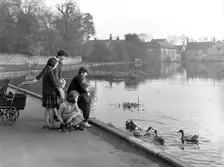 Village duck pond scene, Tickhill, Doncaster, South Yorkshire, 1961. Creator: Michael Walters