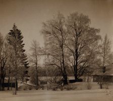 Village of Turovo, Luzhskii district, Saint Petersburg province, between 1905 and 1915. Creator: Sergey Mikhaylovich Prokudin-Gorsky