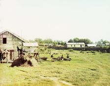 Village of Saatly, Mugan steppe, between 1905 and 1915. Creator: Sergey Mikhaylovich Prokudin-Gorsky