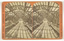 Vine Clad Arbor, 1873/81. Creator: J.W. & J.S. Moulton