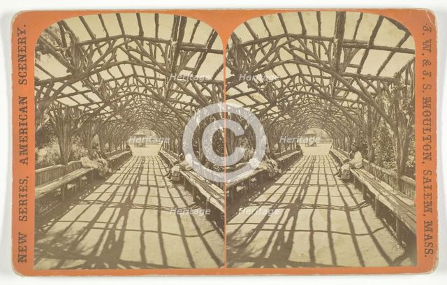 Vine Clad Arbor, 1873/81. Creator: J.W. & J.S. Moulton.