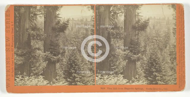 Vine Hill from Magnetic Springs. Santa Cruz Co., Cal., 1878/82. Creator: Carleton Emmons Watkins.