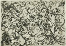 Vine Ornament with Birds, n.d. Creator: Martin Schongauer