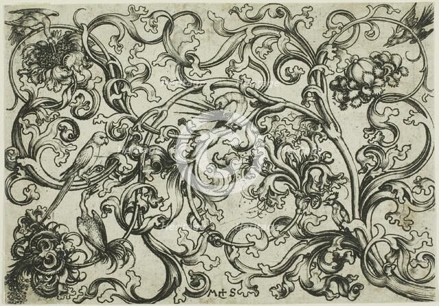 Vine Ornament with Birds, n.d. Creator: Martin Schongauer.