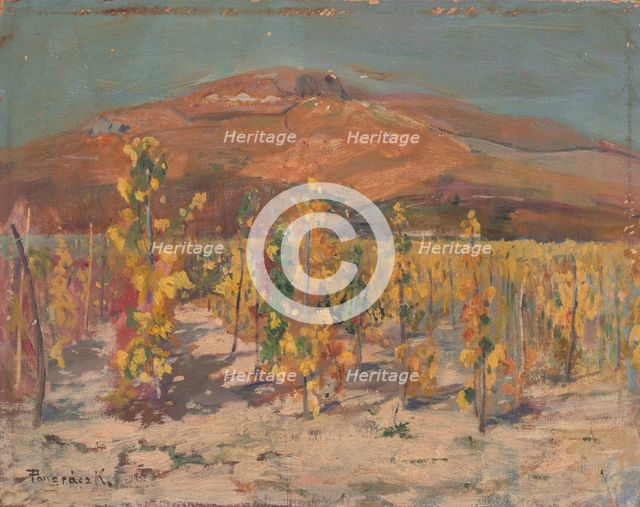 Vineyards at the foot of Mount Zobor, 1930-1940. Creator: Karol Pongrácz.