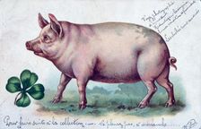 Vintage French postcard, c1900