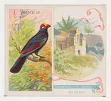 Violaceous, from Birds of the Tropics series (N38) for Allen & Ginter Cigarettes, 1889. Creator: Allen & Ginter
