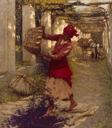 Violets for Perfume, c1913. Creator: Henry Herbert la Thangue