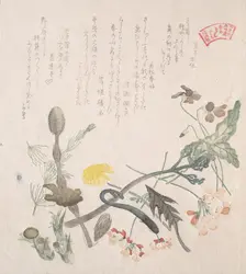 Violets, Primroses and Other Spring Flowers, 19th century. Creator: Kubo Shunman