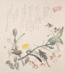 Violets, Primroses and Other Spring Flowers, 19th century. Creator: Kubo Shunman
