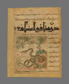 Viper in a Rocky Garden from Manafi al-Hayawan (On the Usefulness of Animals) of Ibn..., c1300. Creator: Unknown