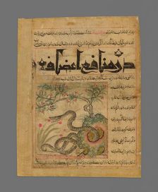 Viper in a Rocky Garden from Manafi al-Hayawan (On the Usefulness of Animals) of Ibn..., c1300. Creator: Unknown