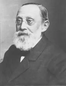 Virchow c1893