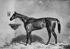 Virago 1851-1869, (1911)