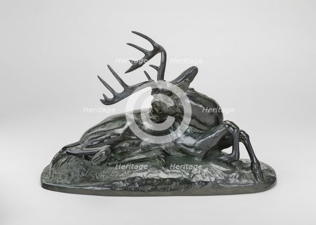 Virginia Deer Reclining, model 1837, cast by 1873. Creator: Antoine-Louis Barye.