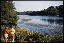 Virginia Water, Egham, Runnymede, Surrey, 1959. Creator: Norman Barnard