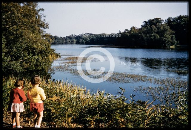 Virginia Water, Egham, Runnymede, Surrey, 1959. Creator: Norman Barnard.