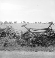 Virginia wheat field, 1936. Creator: Dorothea Lange