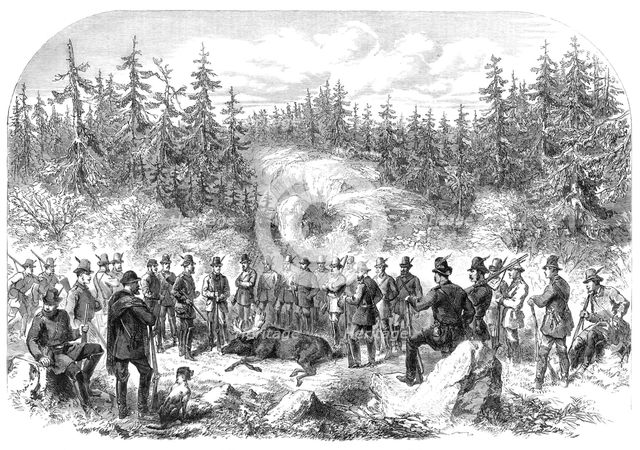 Visit of the Prince and Princess of Wales to Sweden: elk-shooting in the Forest of Högtorp…, 1864. Creator: Unknown.
