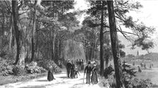 'Visit of the Prince of Wales to Bournemouth; The Invalids Walk in Public Gardens 1890. Creator: Unknown