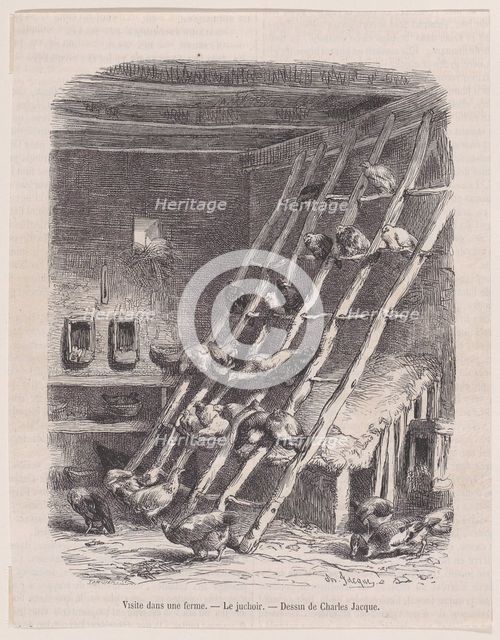 Visit to a Farm - The Roost, from "Le Magasin Pittoresque", ca. 1852. Creator: Charles Tamisier.