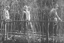 Visite presidentielle au front de Woevre; le President de la Republique et le general..., 1916. Creator: Unknown