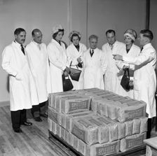 Visitors at the Spillers Foods mill, Gainsborough, Lincolnshire, 1962. Creator: Michael Walters