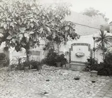 Vroman's book store, 60 East Colorado Street, Pasadena, California, 1923. Creator: Frances Benjamin Johnston