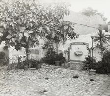 Vroman's book store, 60 East Colorado Street, Pasadena, California, 1923. Creator: Frances Benjamin Johnston