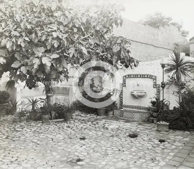 Vroman's book store, 60 East Colorado Street, Pasadena, California, 1923. Creator: Frances Benjamin Johnston.
