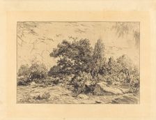 Vue du Plateau de Bellecroix, 1848-1849. Creator: Theodore Rousseau
