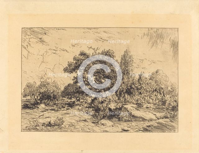 Vue du Plateau de Bellecroix, 1848-1849. Creator: Theodore Rousseau.