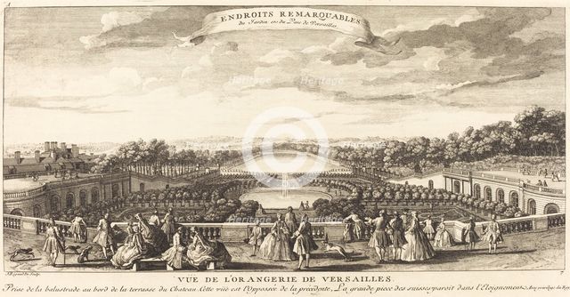 Vue de l'Orangerie de Versailles. Creator: Jacques Rigaud.