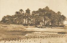Vue de l'ile d'Eléphantine, en face d'Assouan, 1849-50. Creator: Maxime du Camp