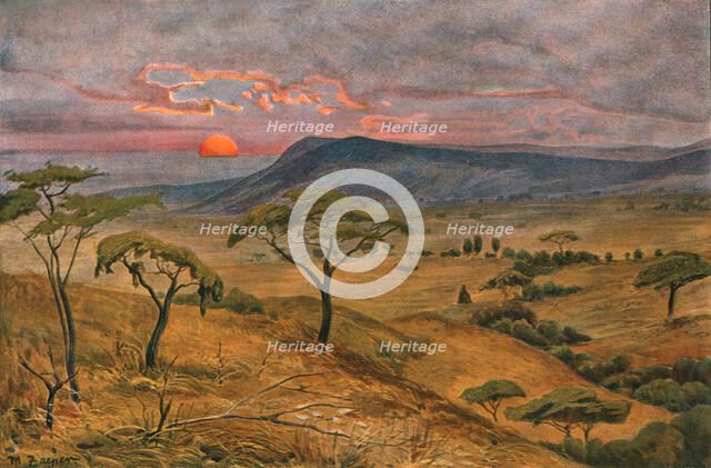 ''Vue des steppes du Massai; Le Nord-Est Africain', 1914. Creator: Unknown.