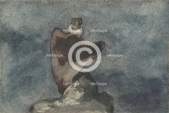 Vulture, 1810-75. Creator: Antoine-Louis Barye.
