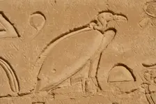 Vulture relief, Temple of Horus, Edfu, Egypt, 3rd century BC (2003). Creator: Unknown