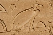 Vulture relief, Temple of Horus, Edfu, Egypt, 3rd century BC (2003). Creator: Unknown