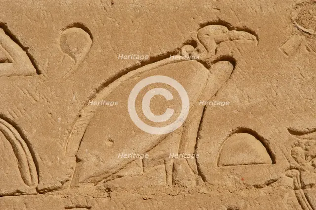 Vulture relief, Temple of Horus, Edfu, Egypt, 3rd century BC (2003). Creator: Unknown.