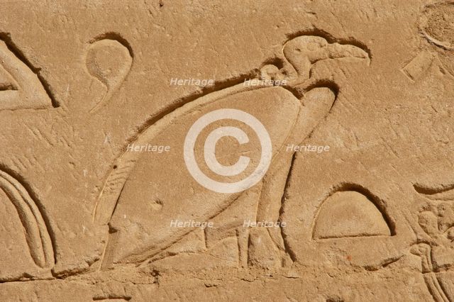 Vulture relief, Temple of Horus, Edfu, Egypt, 3rd century BC (2003). Creator: Unknown.