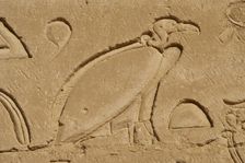 Vulture relief, Temple of Horus, Edfu, Egypt, 3rd century BC (2003). Creator: Unknown