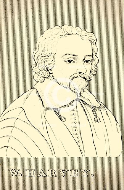'W. Harvey', (1578-1657), 1830. Creator: Unknown.